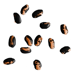sub-products
