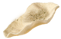 sub-products