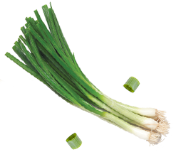 sub-products